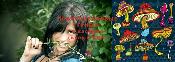 Альфа ПВП Заводоуковск