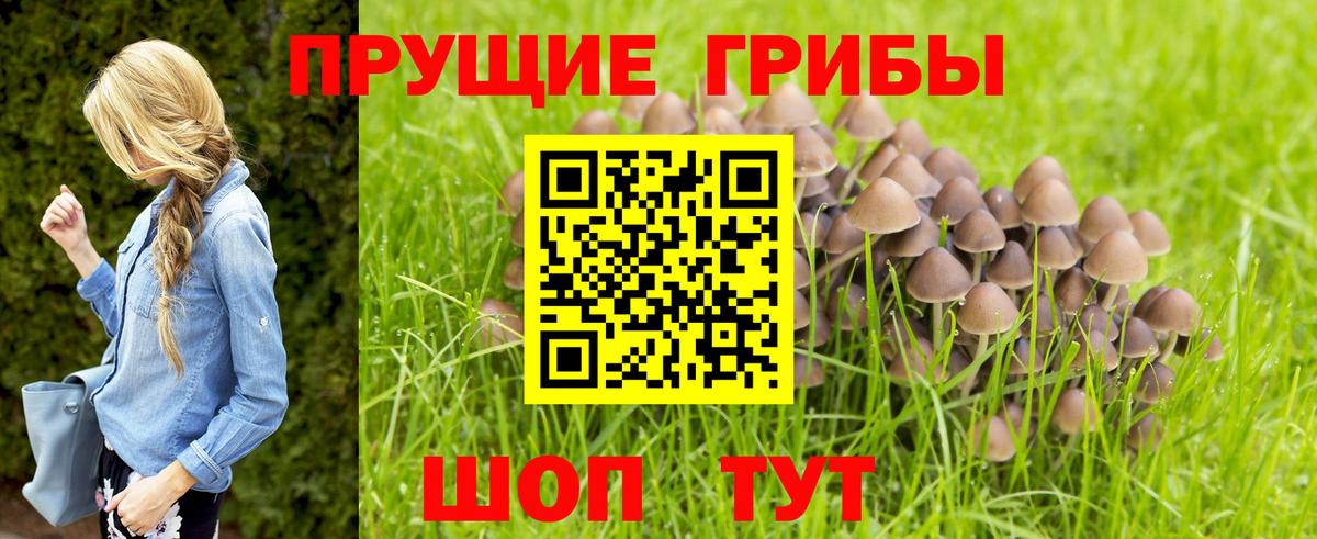 Кимовск  Псилоцибиновые грибы мухоморы  Вход с VPN 